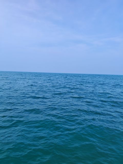 IMG_20260709_140233.jpg