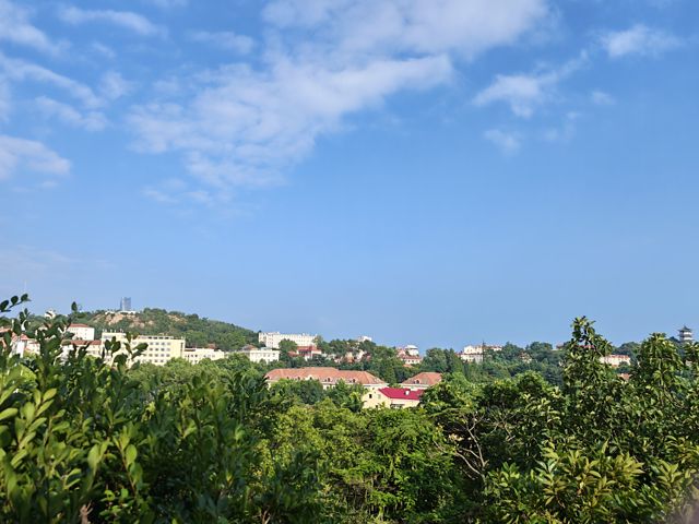 IMG_20260714_163614.jpg